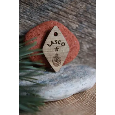 Médaille FORESTA Lasco